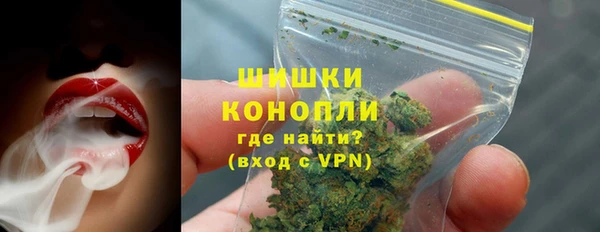 амф Арсеньев