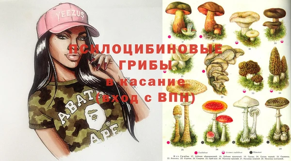 амф Арсеньев